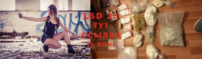 darknet Telegram  Болотное  LSD-25 экстази кислота 